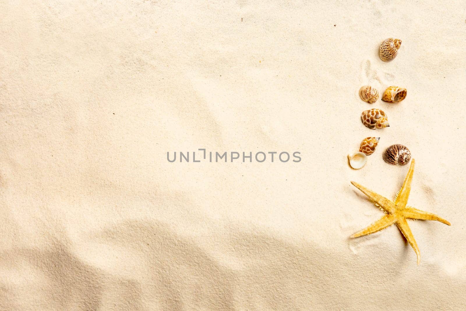 Top view of shells on sandy beach. Summer background
