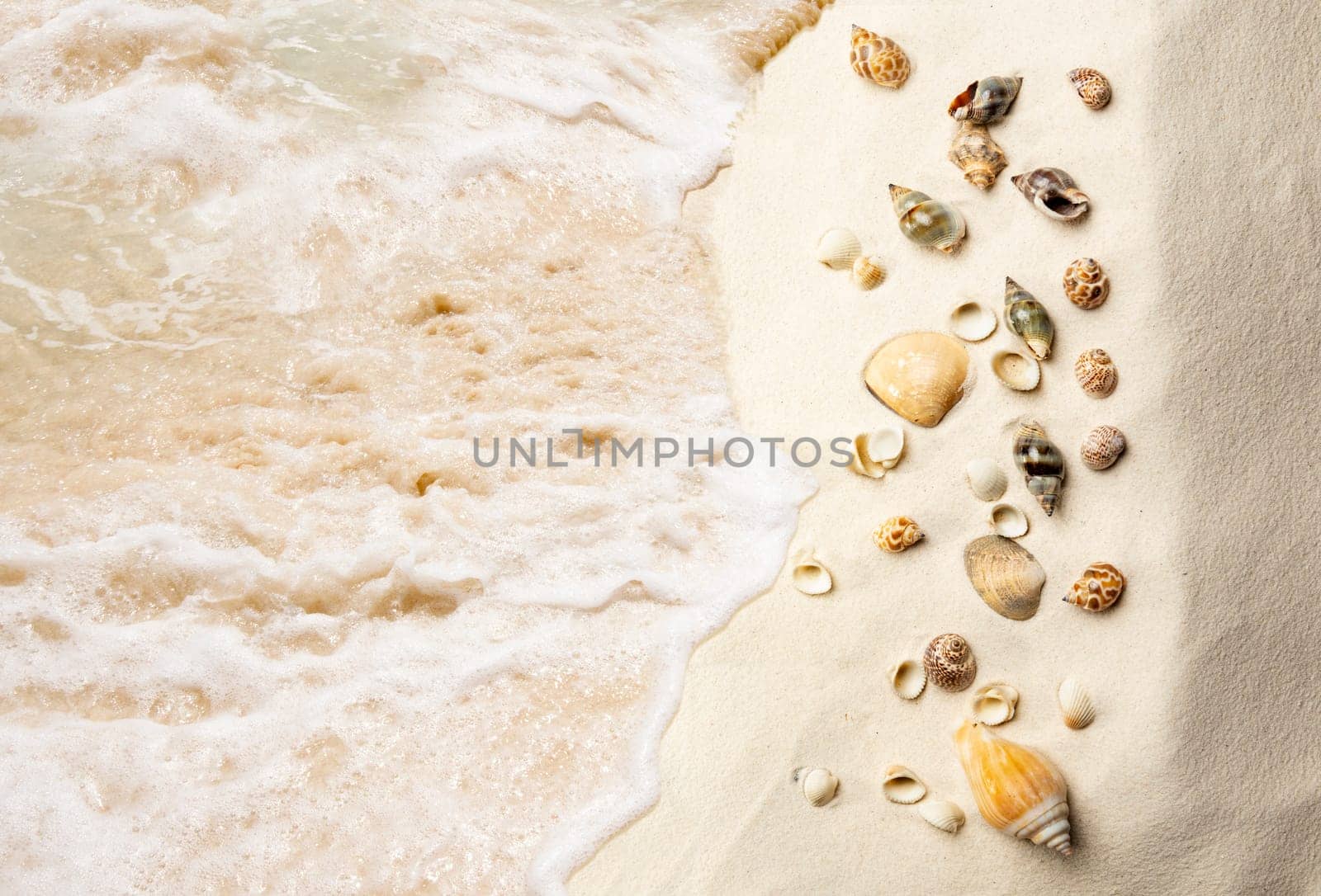 Top view of shells on the sandy beach with wave. Summer background