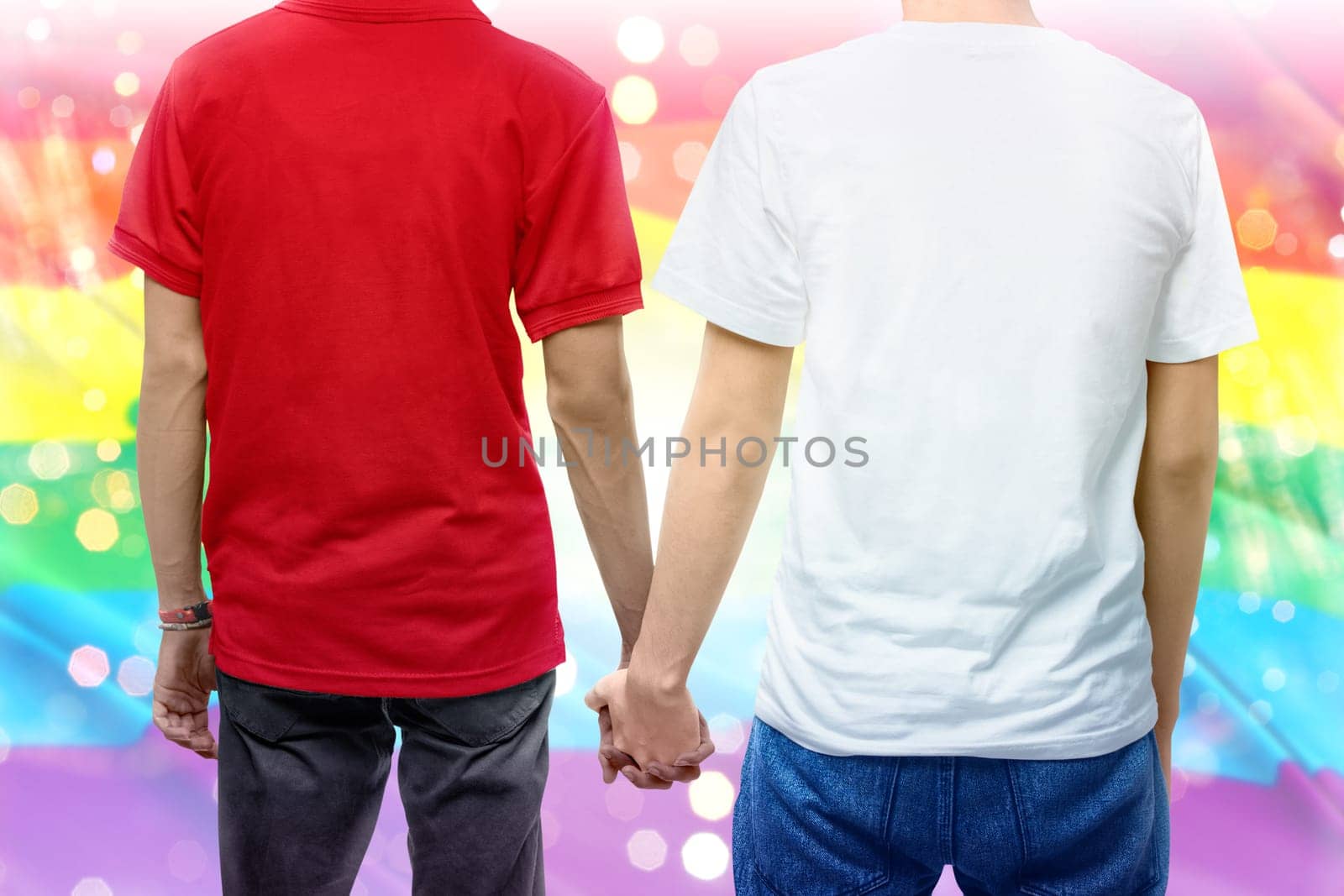 Rear view of gay couple holding hands together standing with rainbow flag background. LGBT concept
