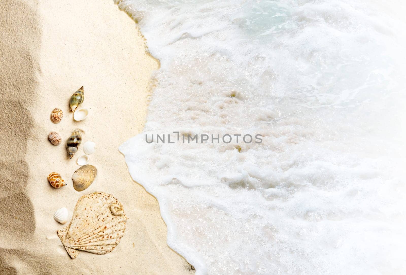 Top view of shells on the sandy beach with wave. Summer background