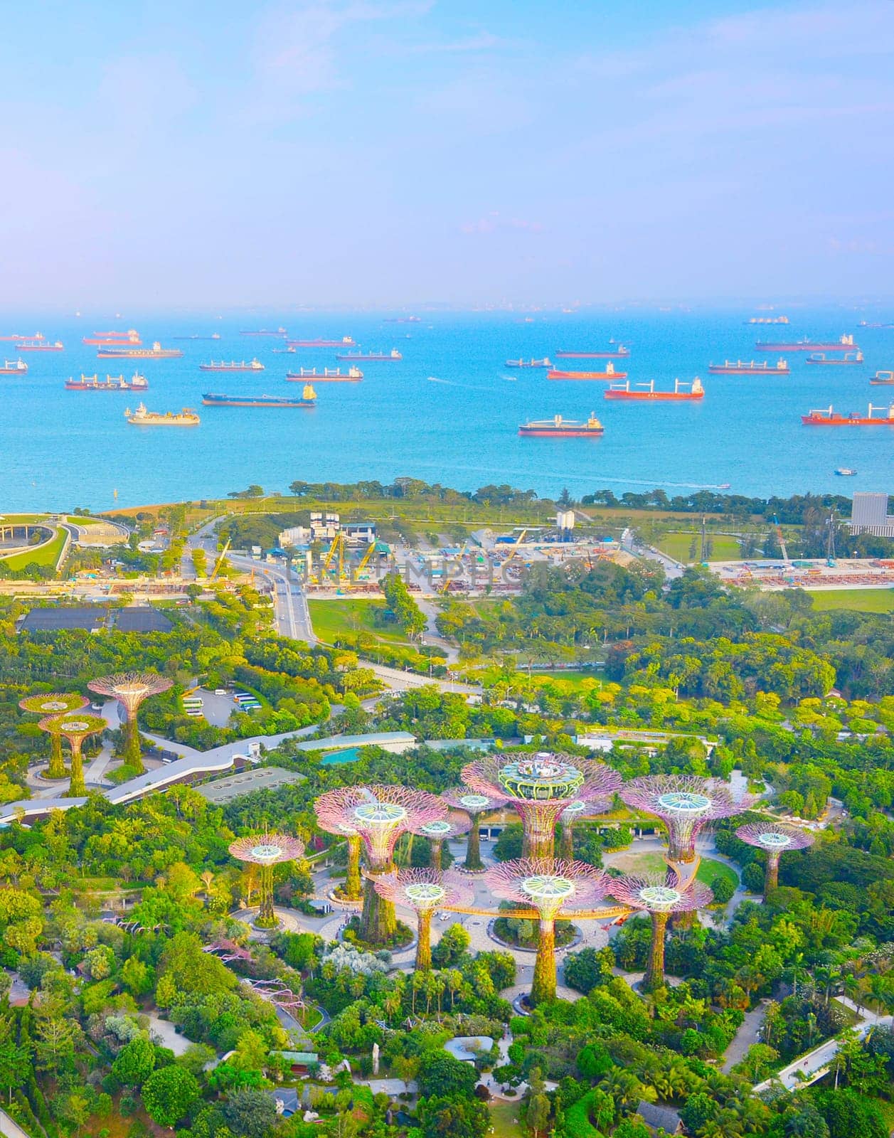 SINGAPORE - FEBRUARY 17, 2017: Aerail view of tropical Gardens by the Bay and seascape with cargo ships, Singapore