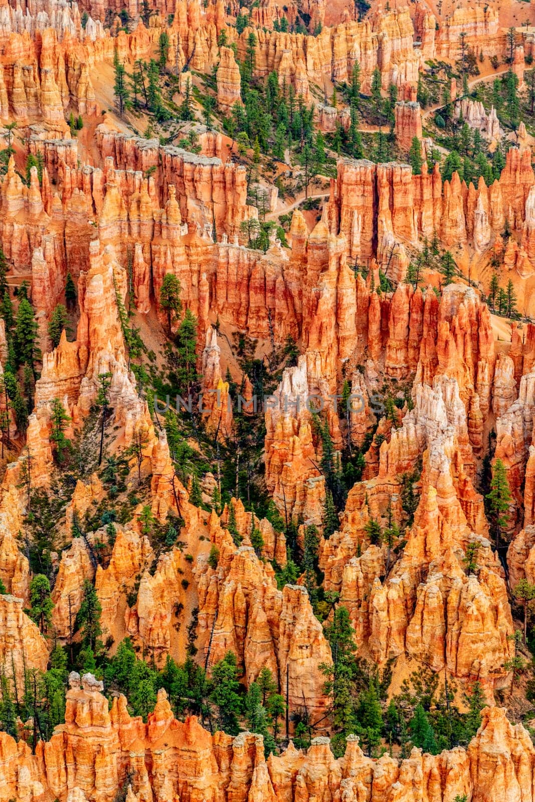 Utah, Bryce Canyon National Park, Bryce Canyon