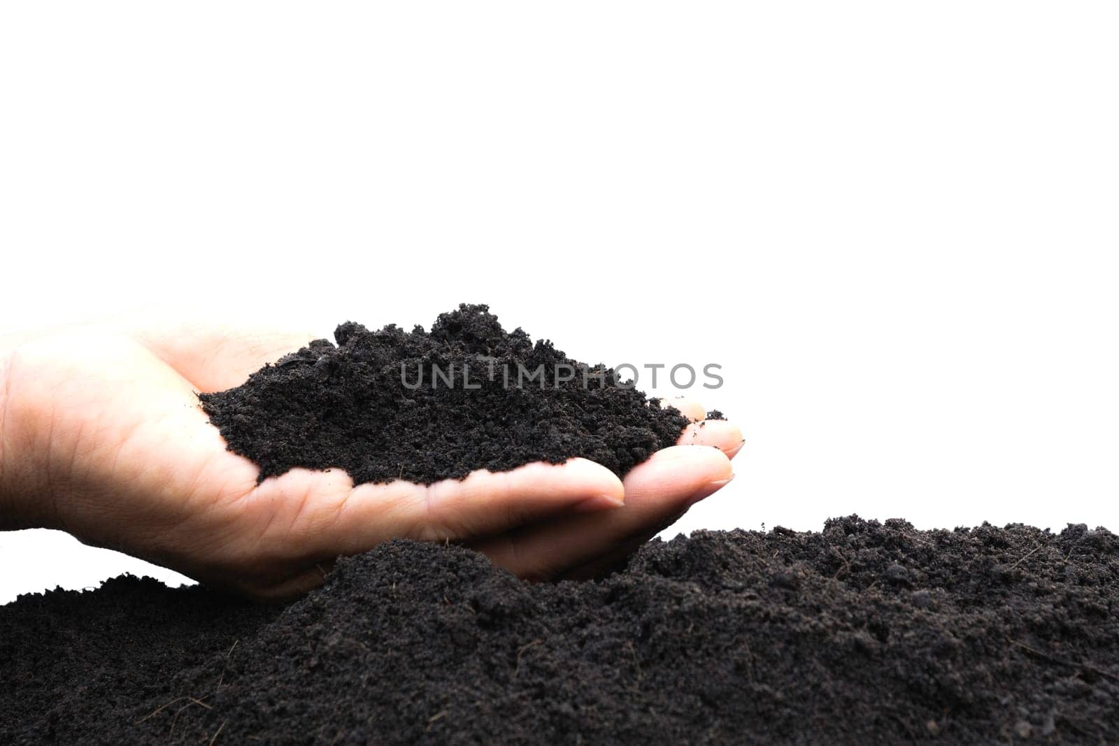 Hand of male holding soil in the hands for planting isolated on a white background.