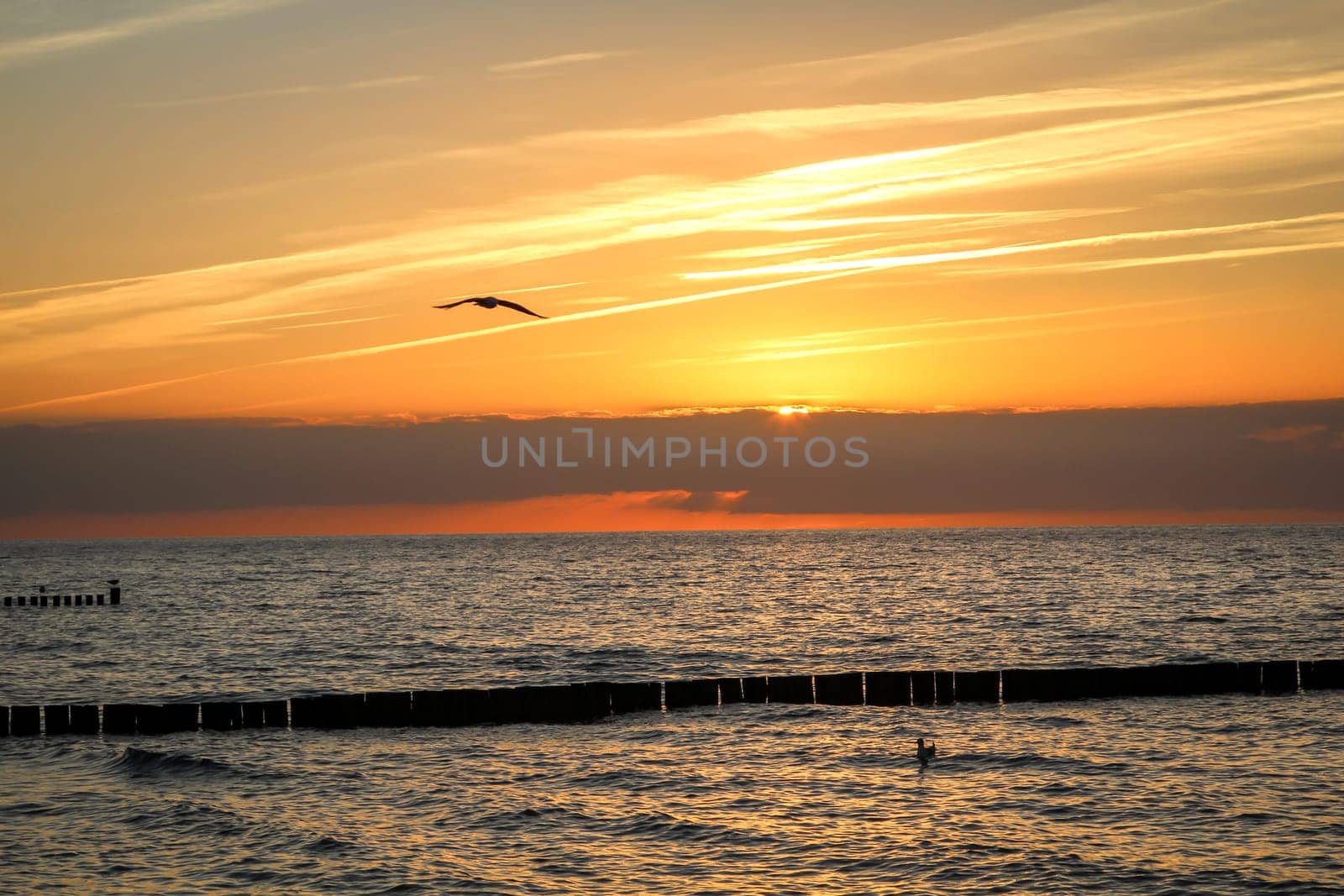 Breakwater built of wooden logs by the Baltic Sea.