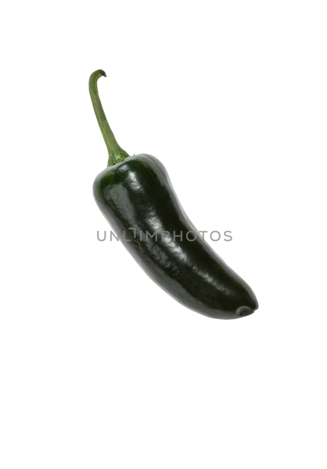 Single green jalapeno pepper isolated on white background