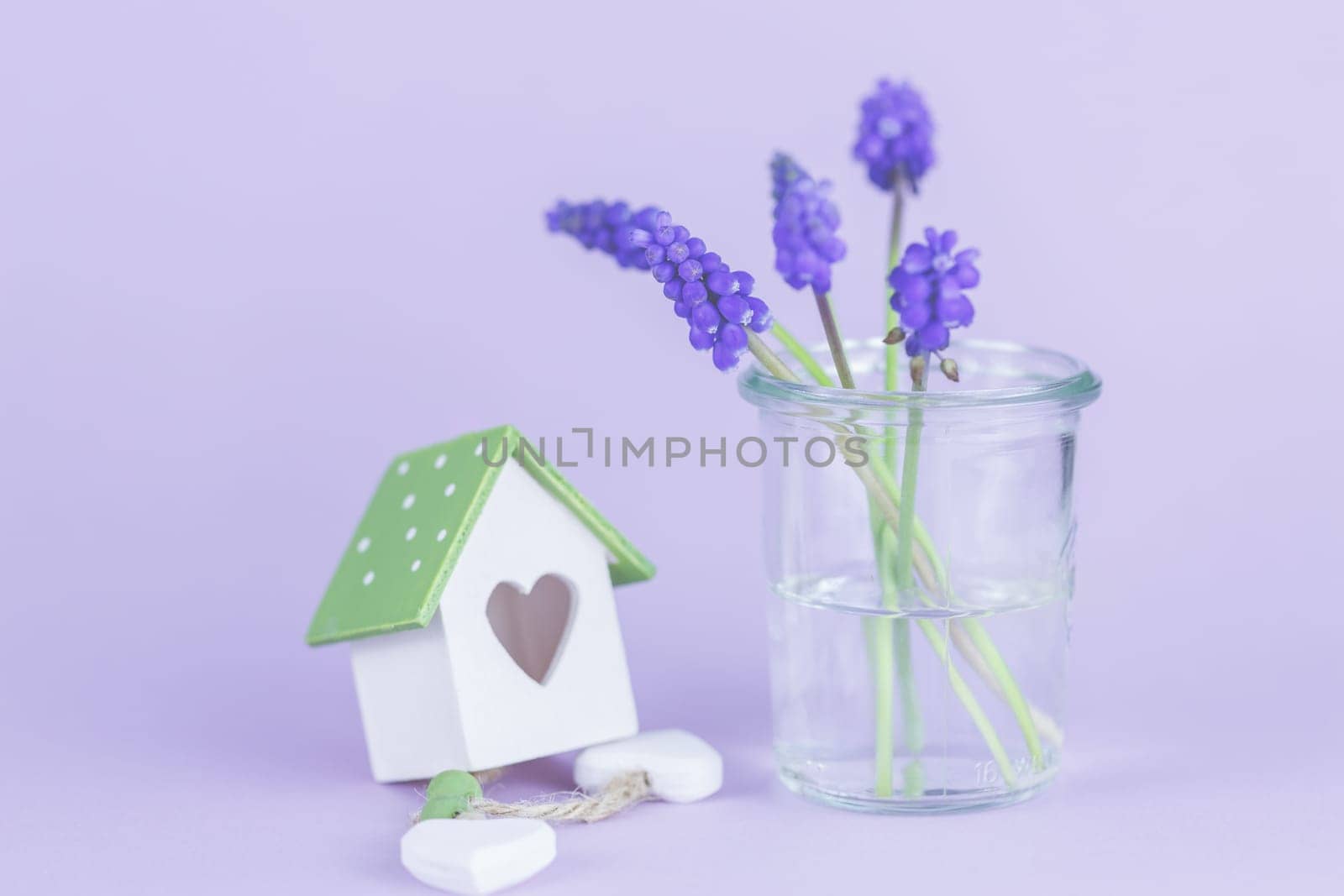 Purple grape hyacinths with copy space, template, background