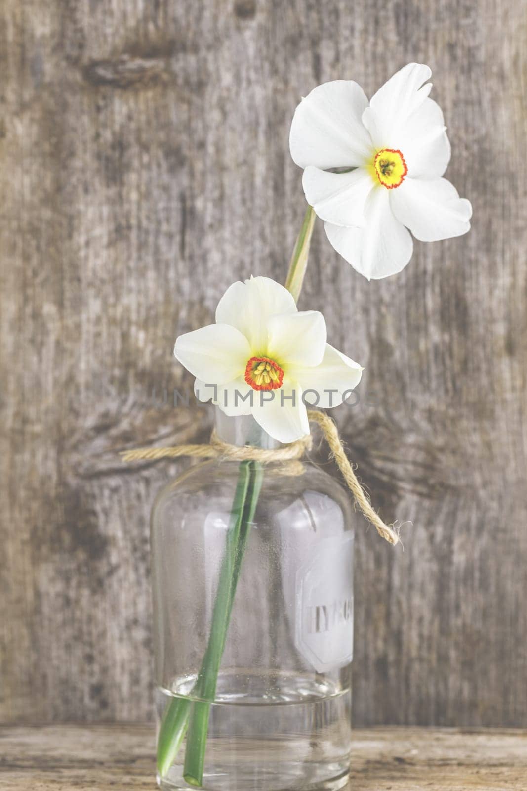 White daffodils, daffodils in a vase in front of wood background.