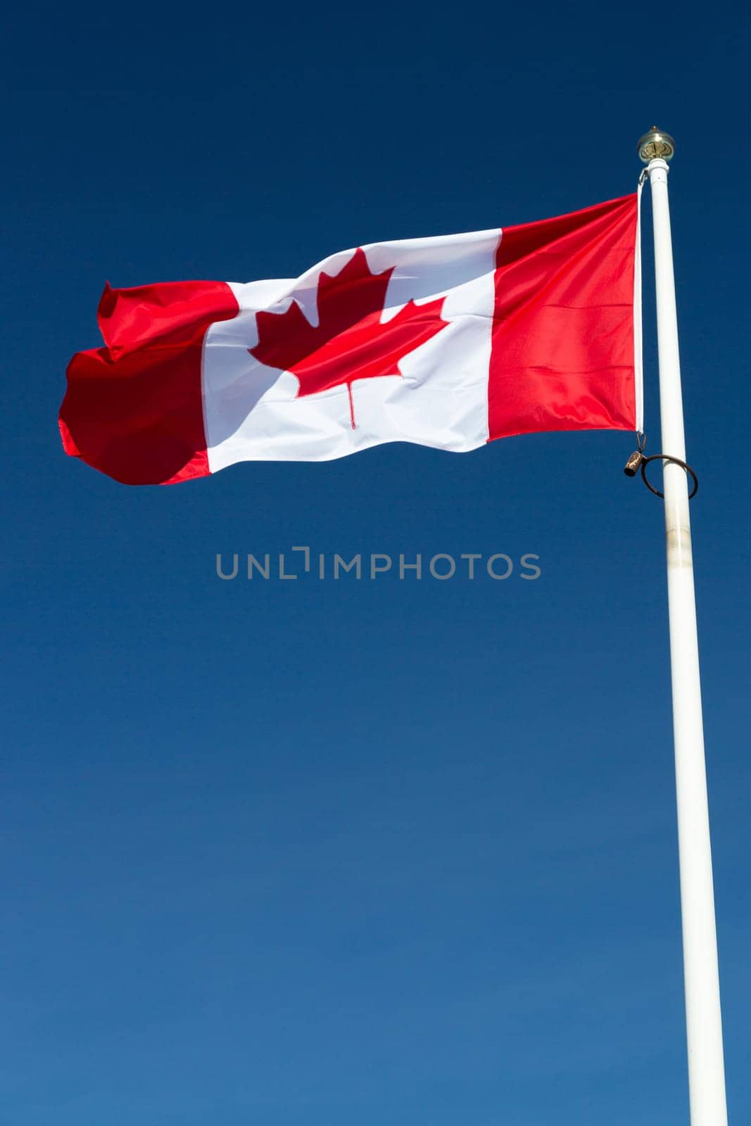 The Canadian Flag on a Falgpole with a clear blue sky.
