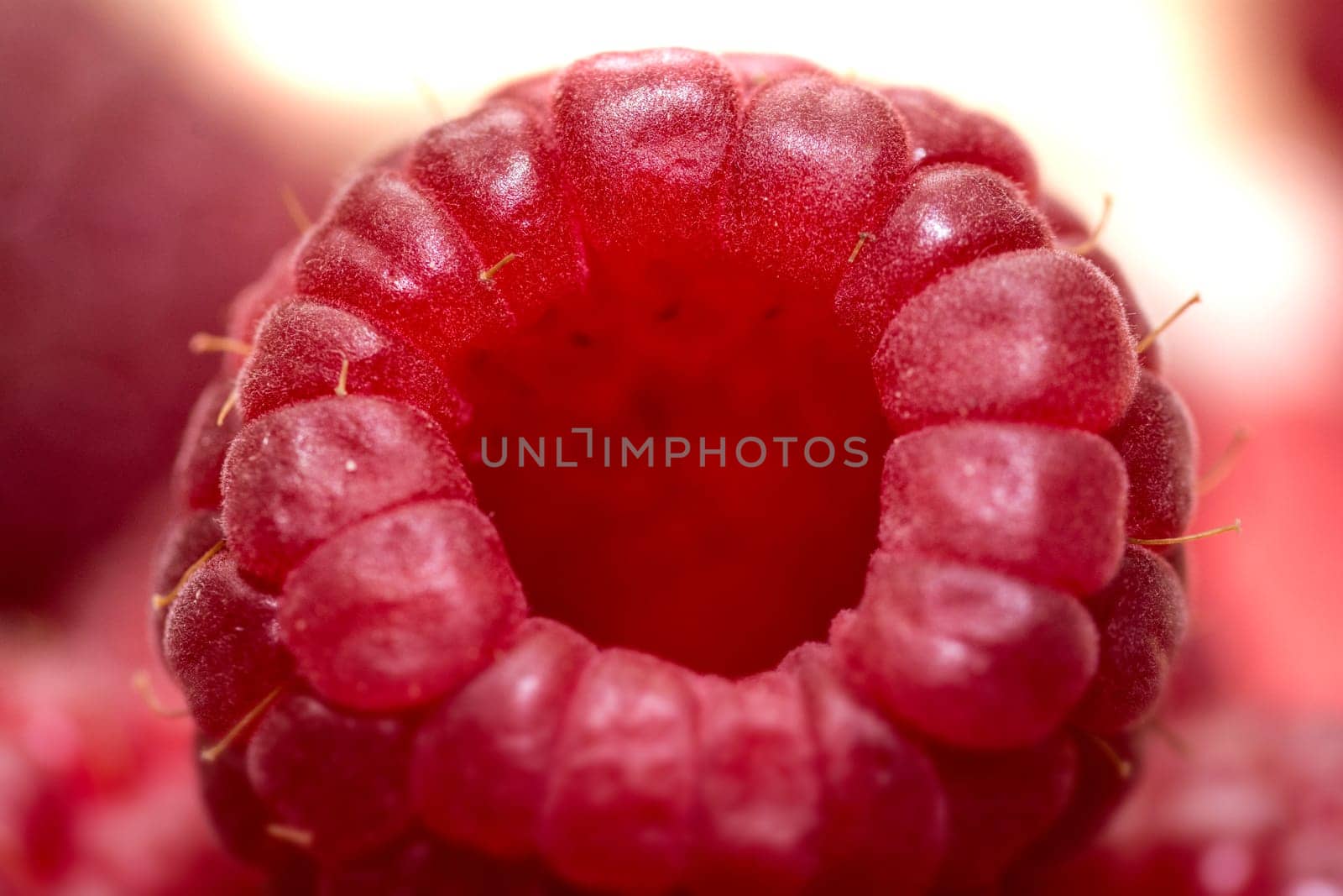 raspberry in closeup