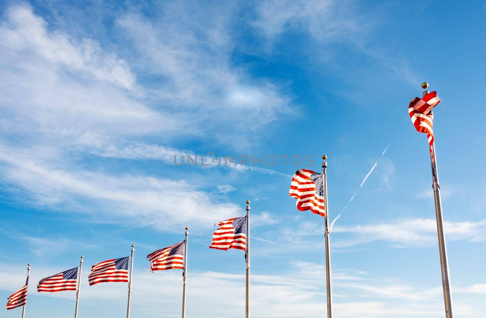 A group of American flags waving on a sunny day. Concept of patriotism and democracy