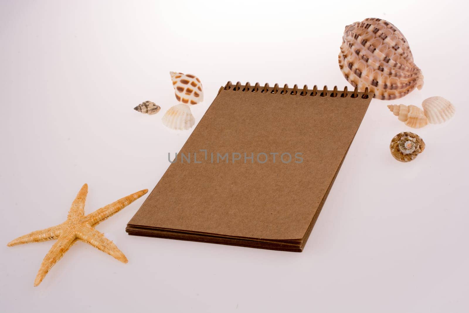 Little brown spiral notebook with  seashells  around on a white background