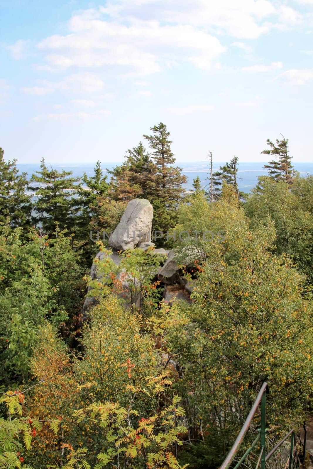 rock formation and forest in the Harz mountains