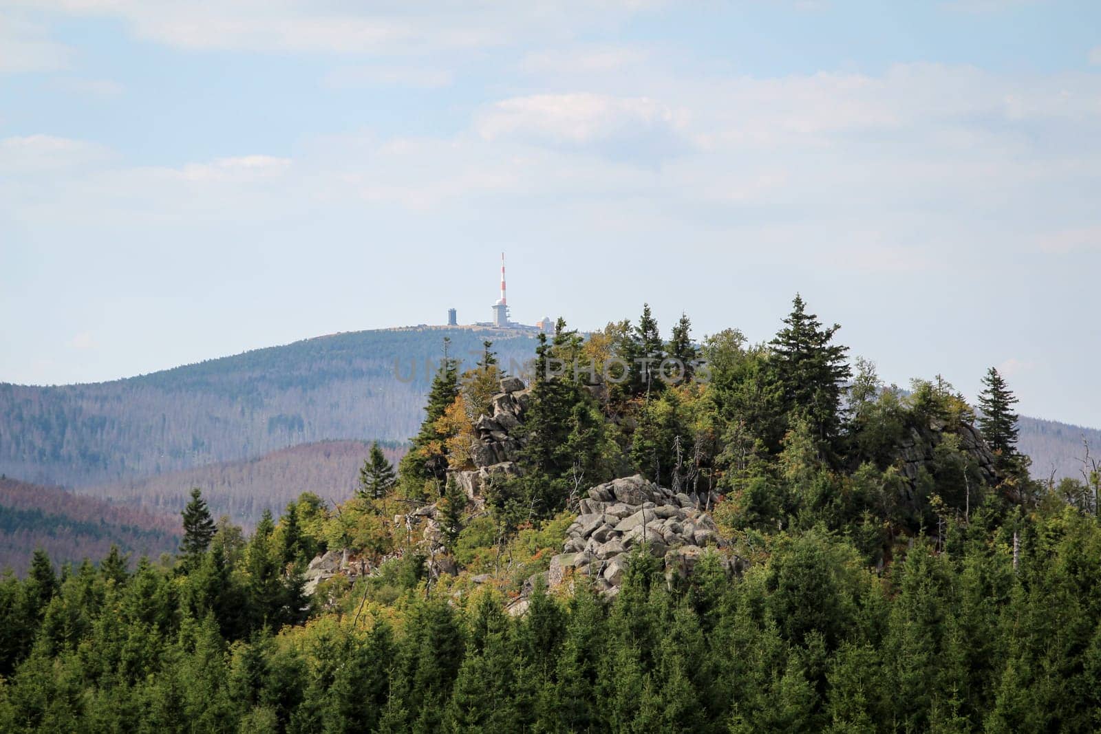 rock formation and forest in the Harz mountains
