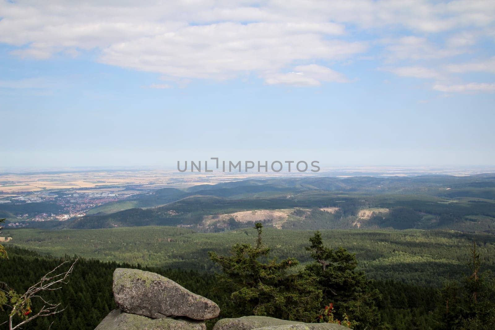 rock formation and forest in the Harz mountains