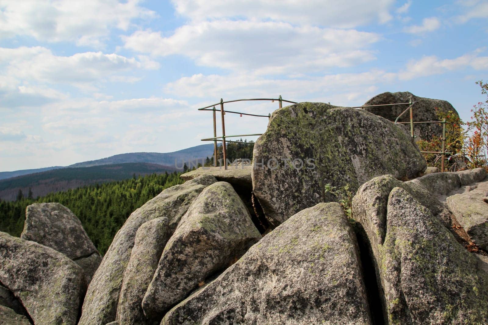 rock formation and forest in the Harz mountains