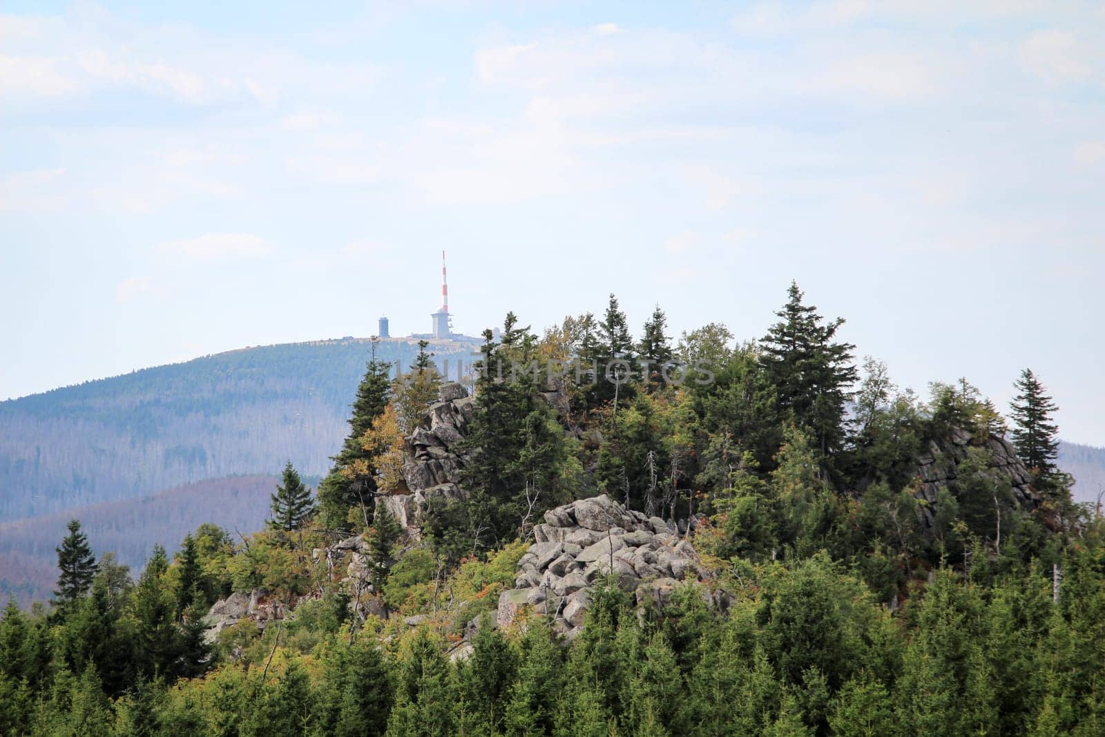 rock formation and forest in the Harz mountains