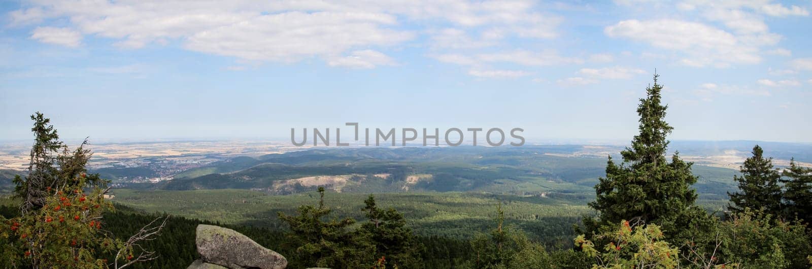rock formation and forest in the Harz mountains