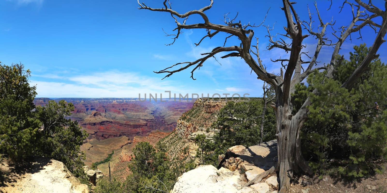 Grand Canyon in Arizona