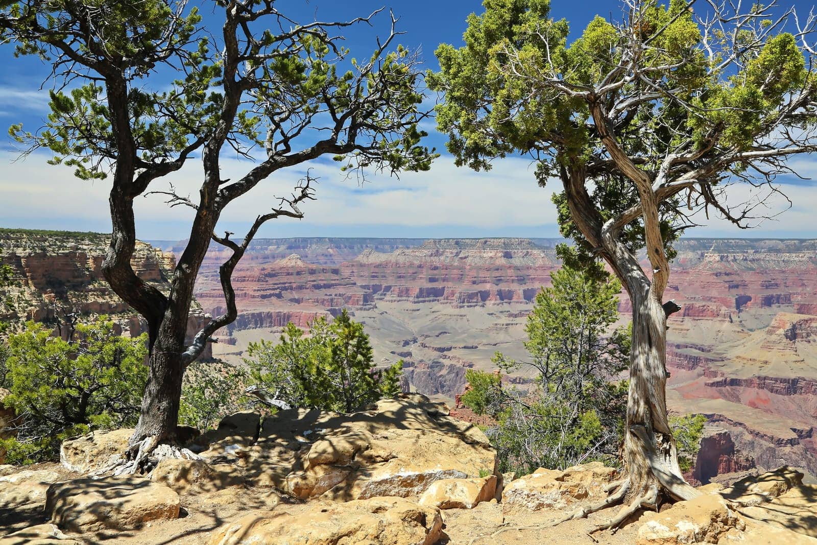 Grand Canyon in Arizona