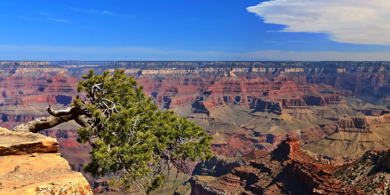 Grand Canyon in Arizona