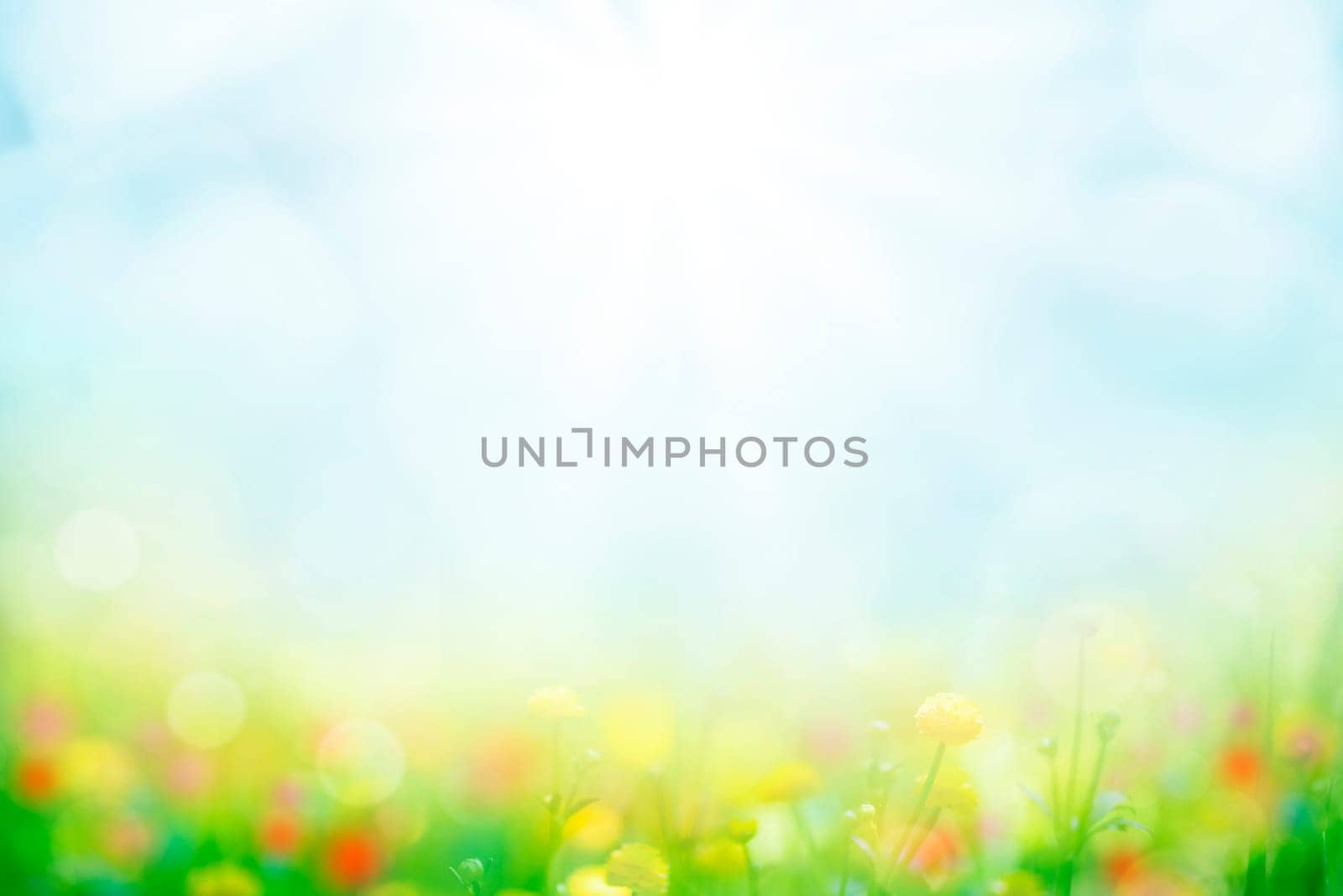 abstract background with green grass and flowers over sunny blue sky