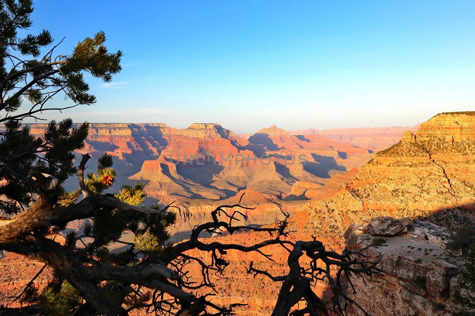 Grand Canyon in Arizona