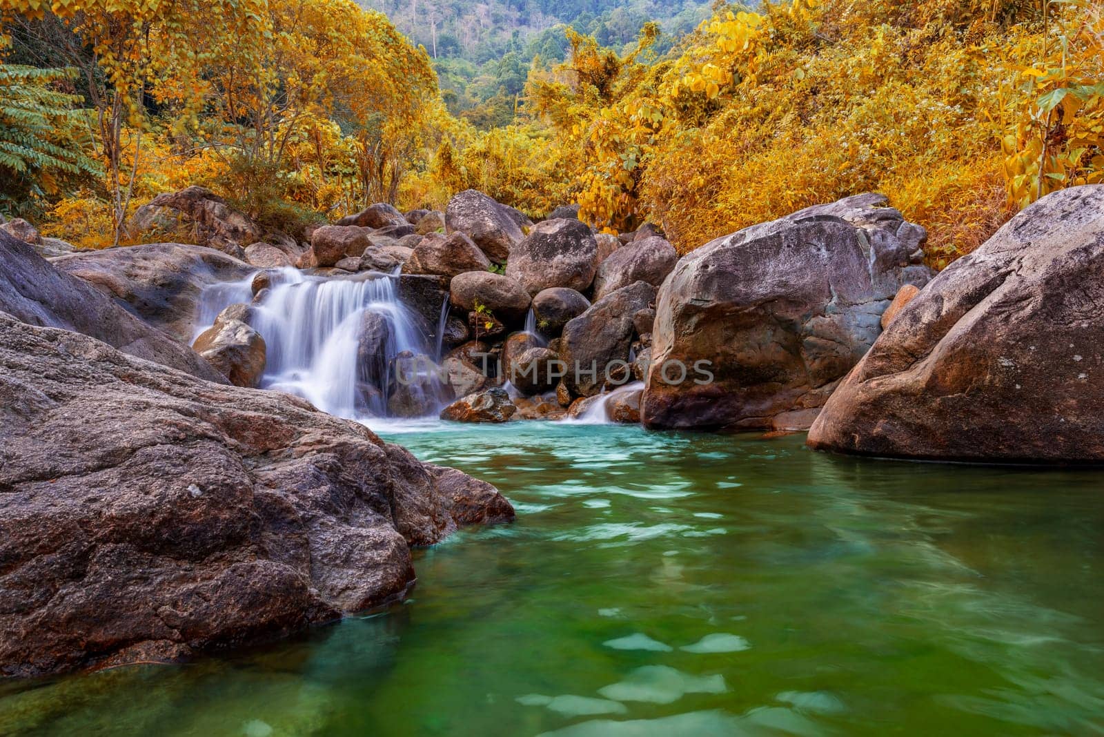 River stone and tree colorful, View water river tree, Stone river in multi color tree leaf in forest