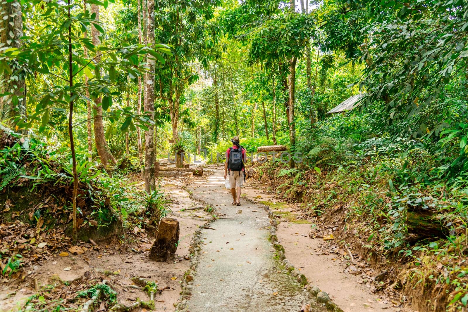 Man walking in forest with sunlight nature background