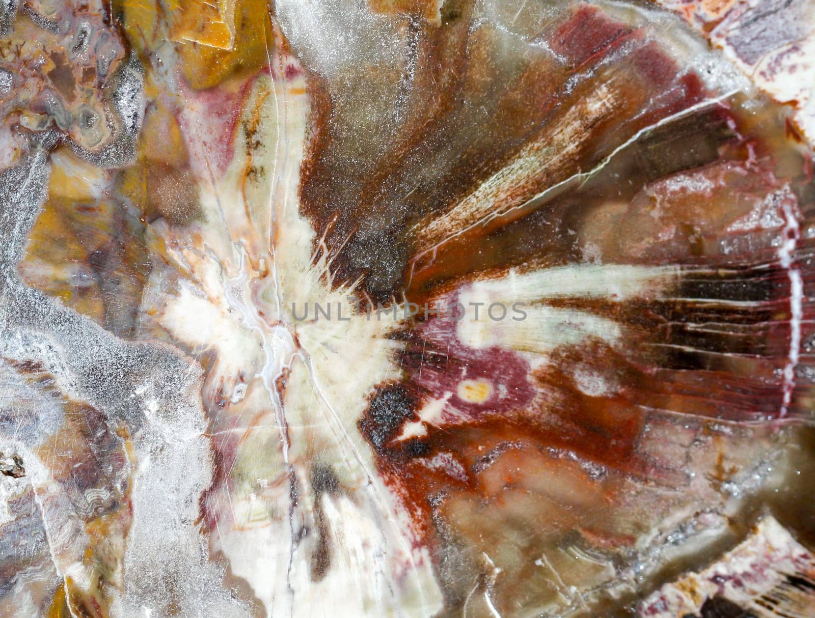 gemstones, shells and semi-precious stones with beautiful colors