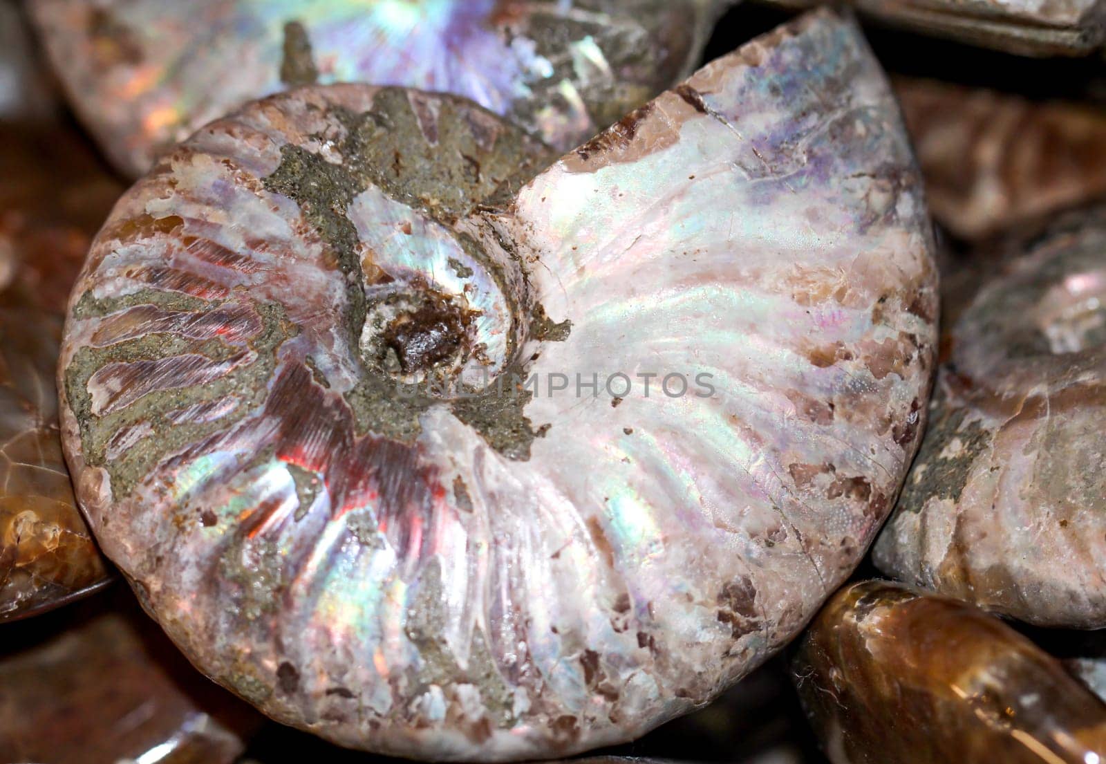 gemstones, shells and semi-precious stones with beautiful colors