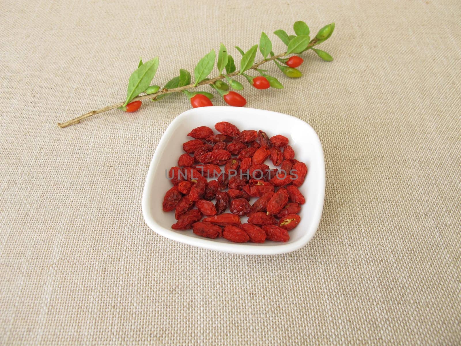 Dried goji berries, wolfberry