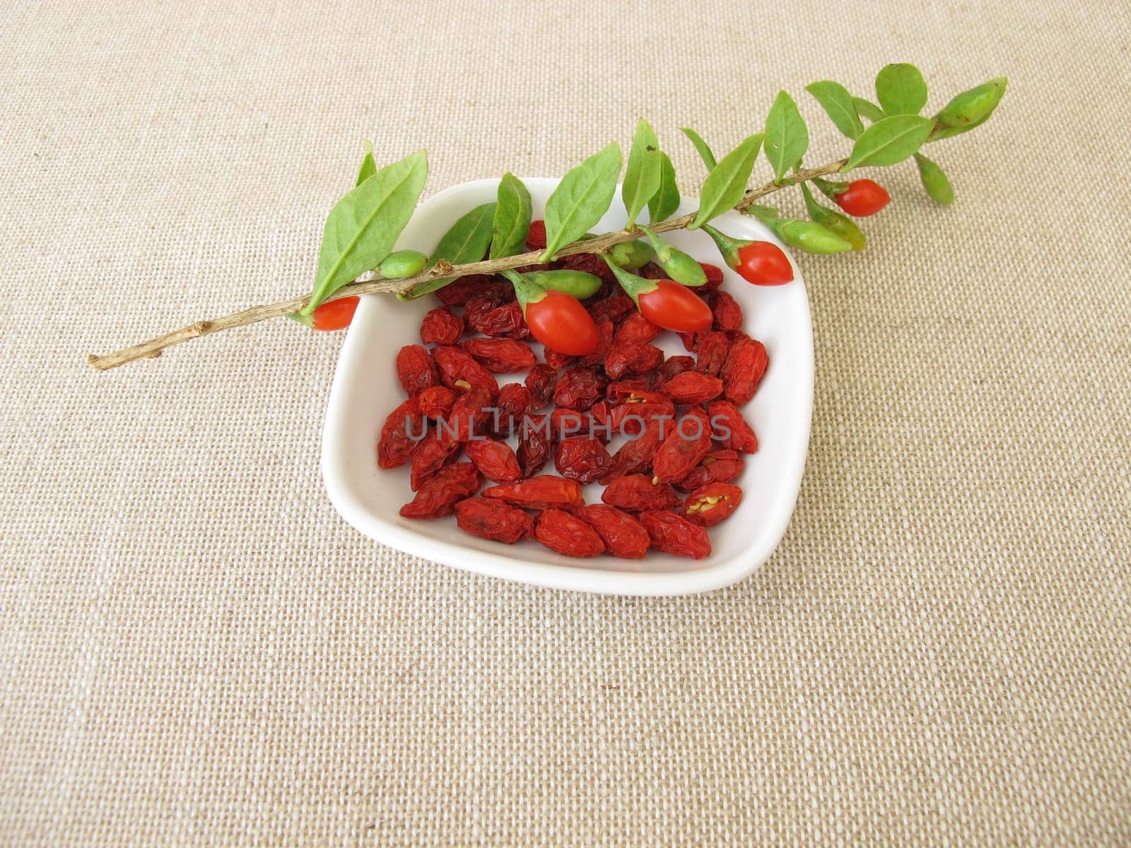 Dried goji berries, wolfberry