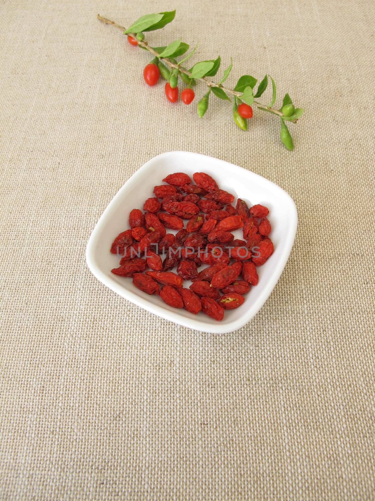 Dried goji berries, wolfberry