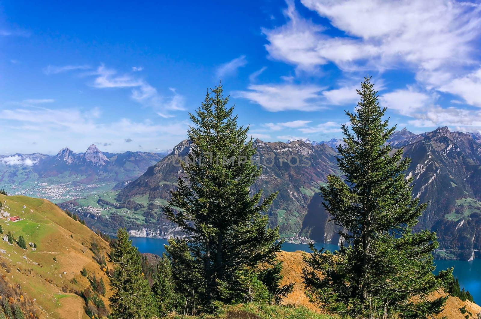 View from Niederbauen to Urnersee