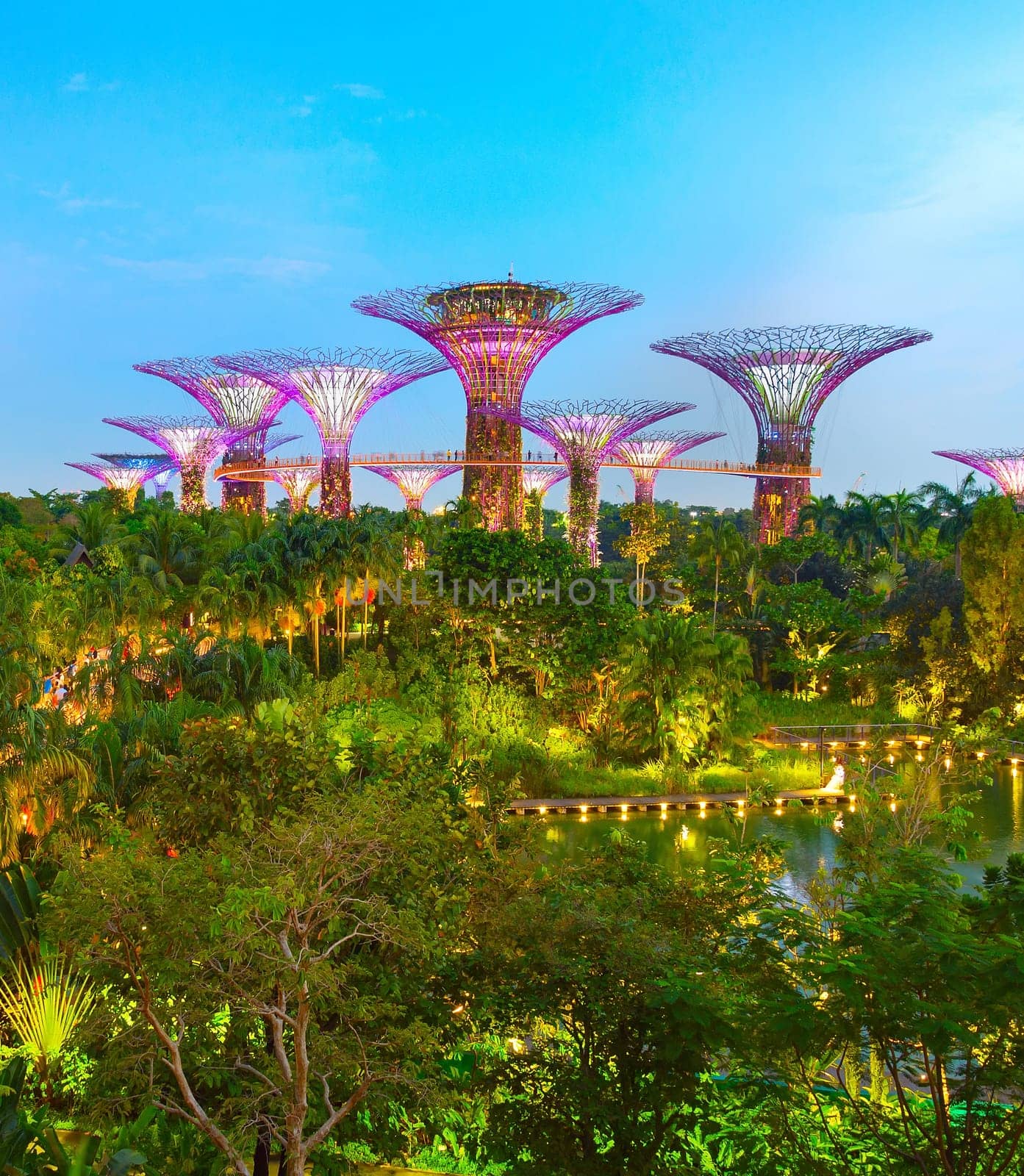 SINGAPORE - JANUARY 15, 2017: Famous Botanical Gardens by the Bay illuminated in the evening, aerial view