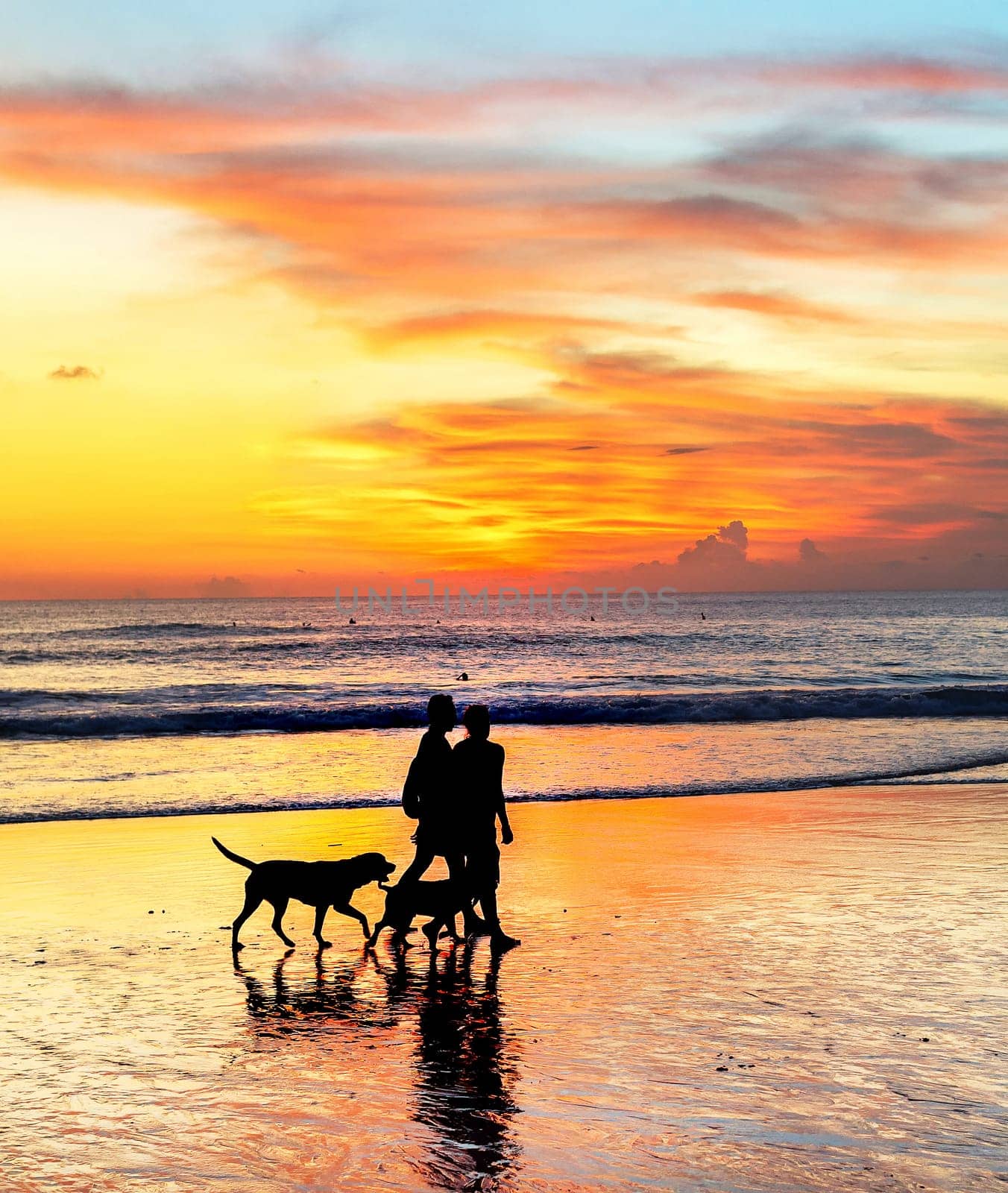 Silhouettes of couple with dogs walking at tropical beach in scenic sunset, Bali, Indonesia