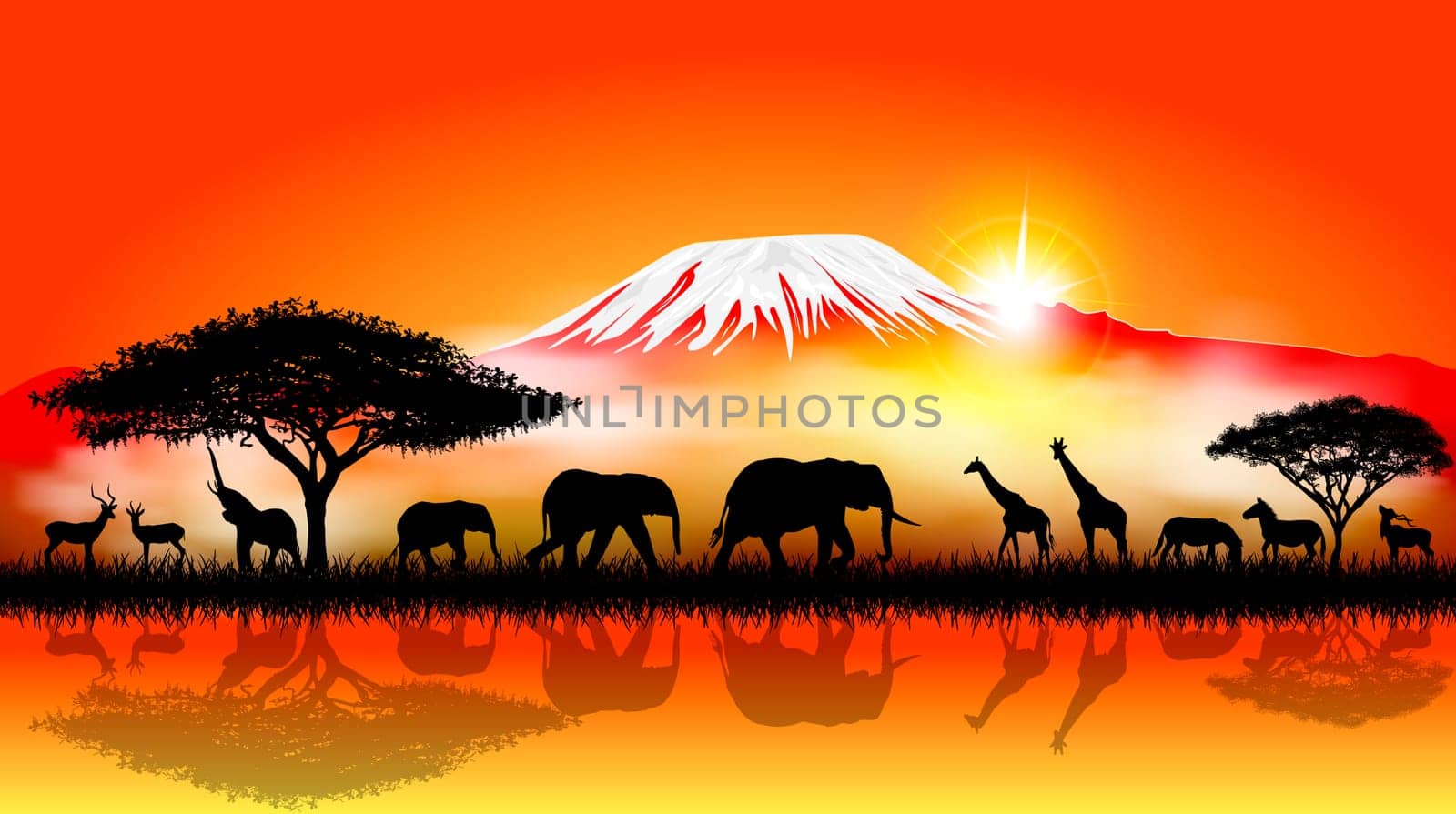 Silhouettes of wild animals of the African savanna.