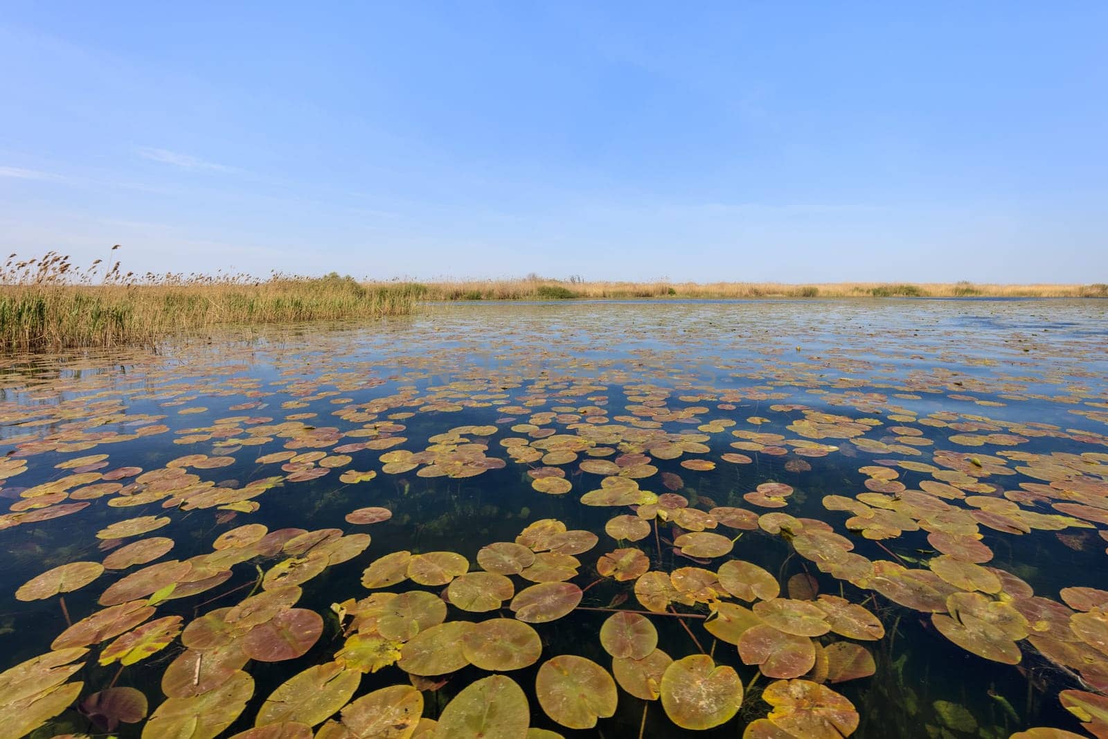 landscape in the Danube Delta, Romania, Europe