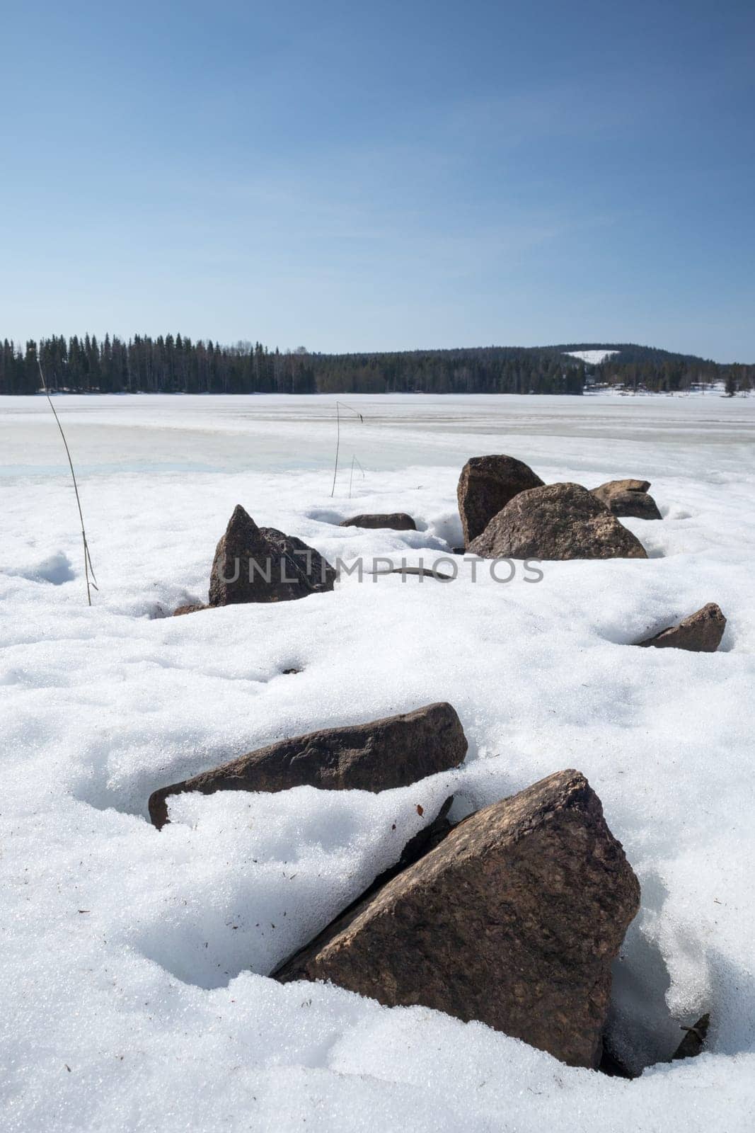 Rocks in Snow by Lake with trees in the background.