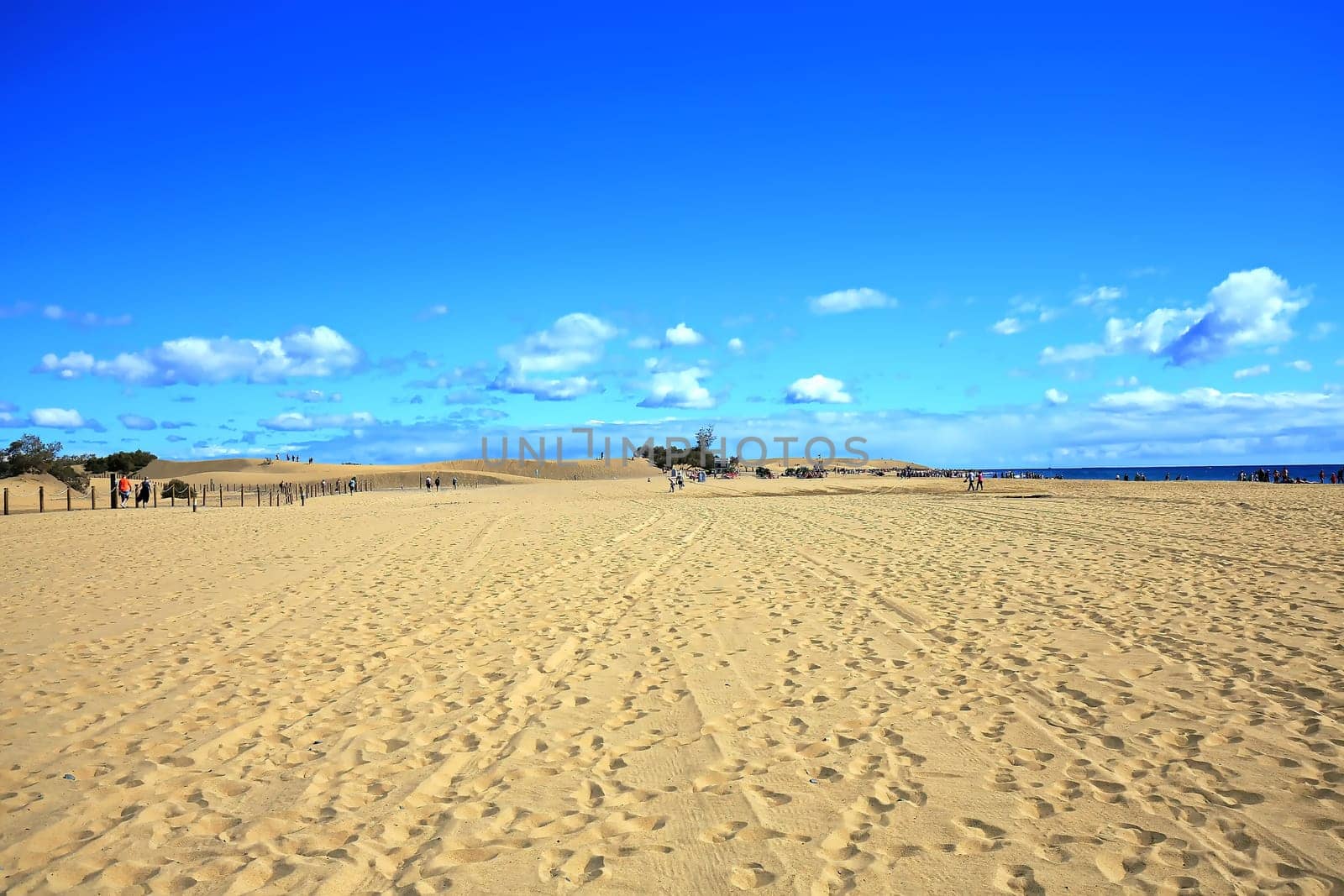 Maspalomas the sand dunes on Gran Canaria