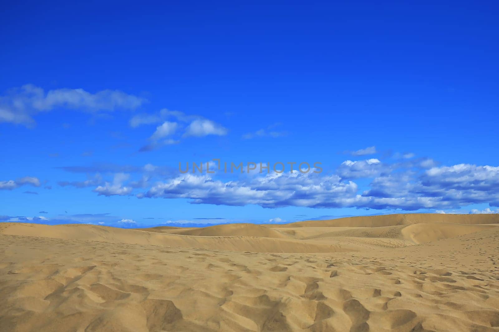 Maspalomas the sand dunes on Gran Canaria