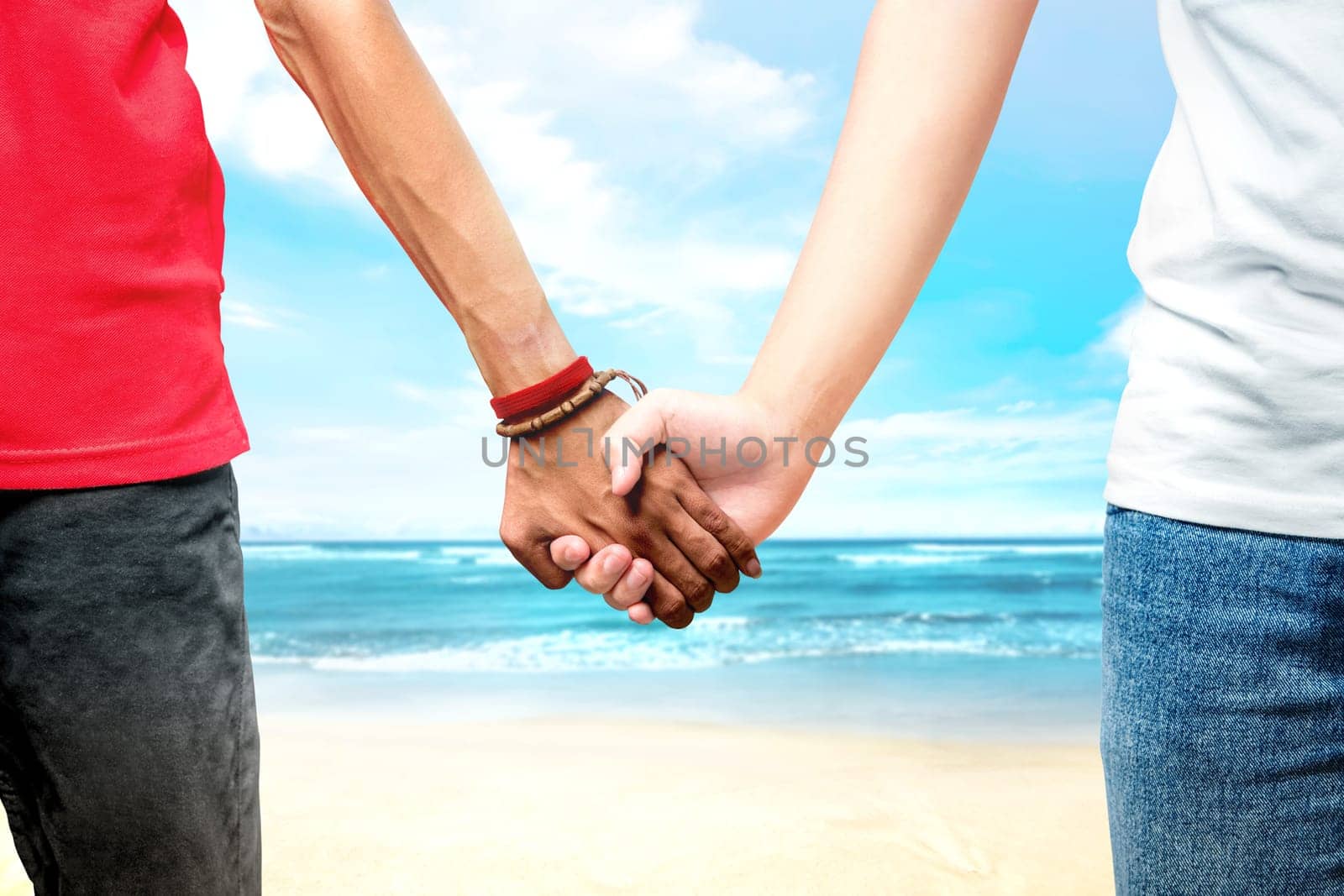 Gay couple holding hands together standing on the beach with seascape background. LGBT concept