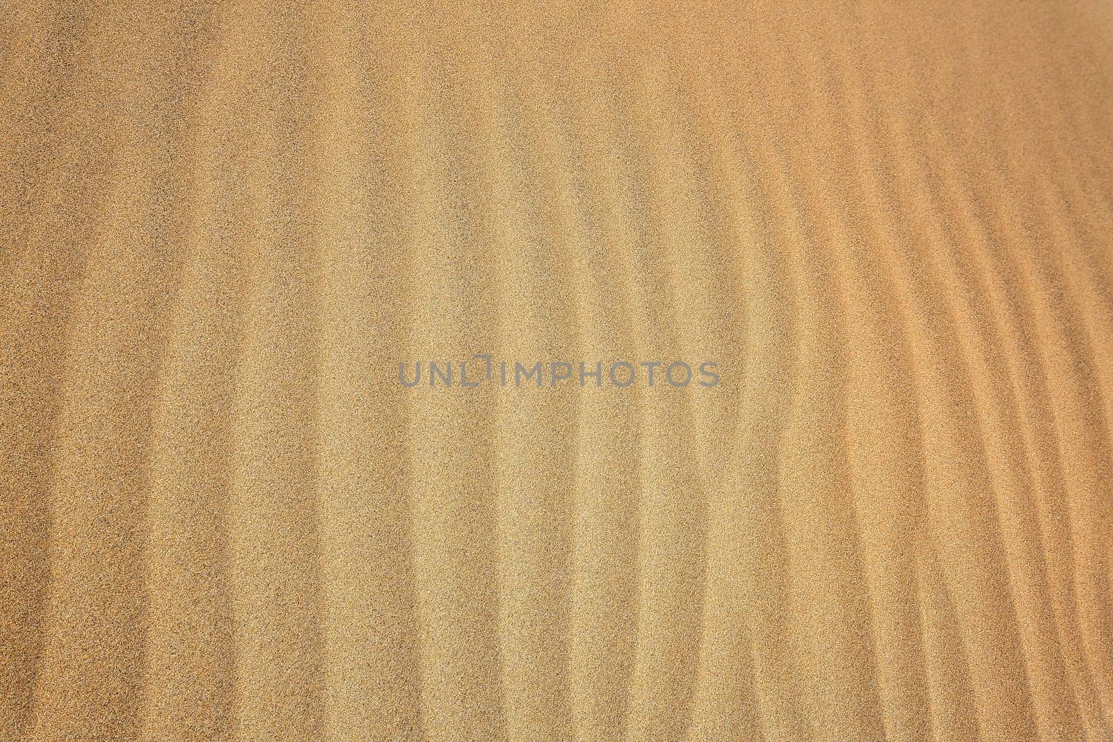 Playa del Inglés on gran canaria
