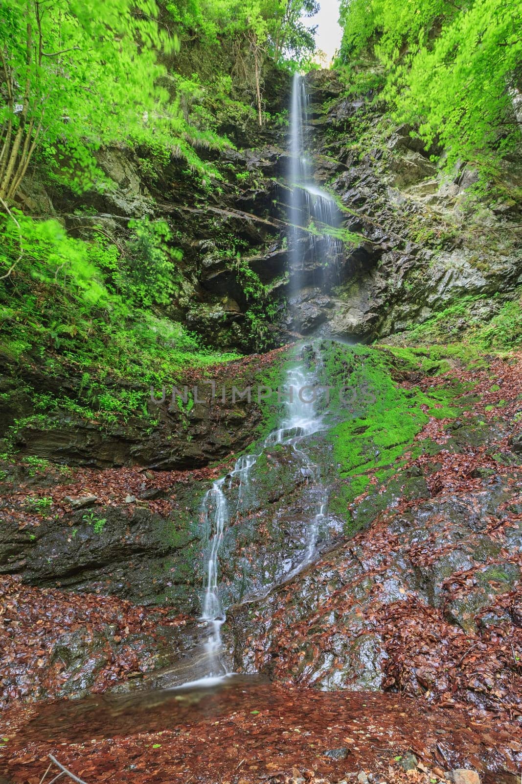 landscape with Valea lui Stan canyon and river in Romania