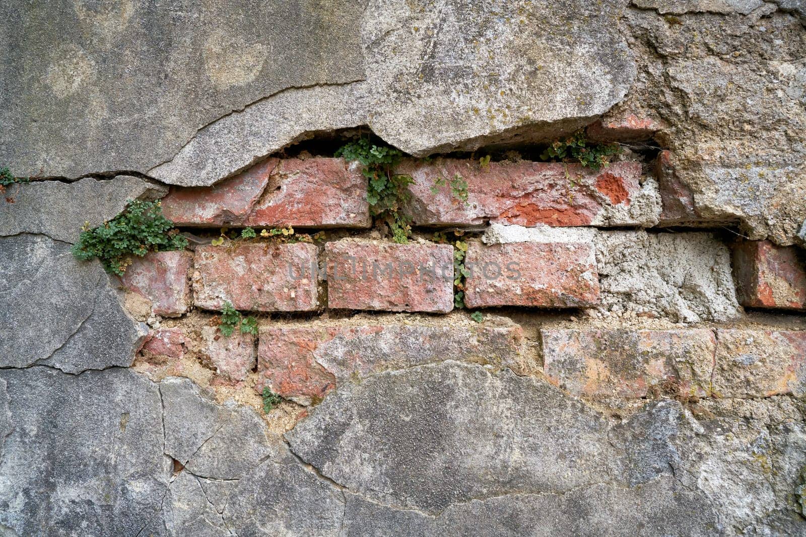 dilapidated wall with plants in the old town of Karlovy Vary in the Czech Republic