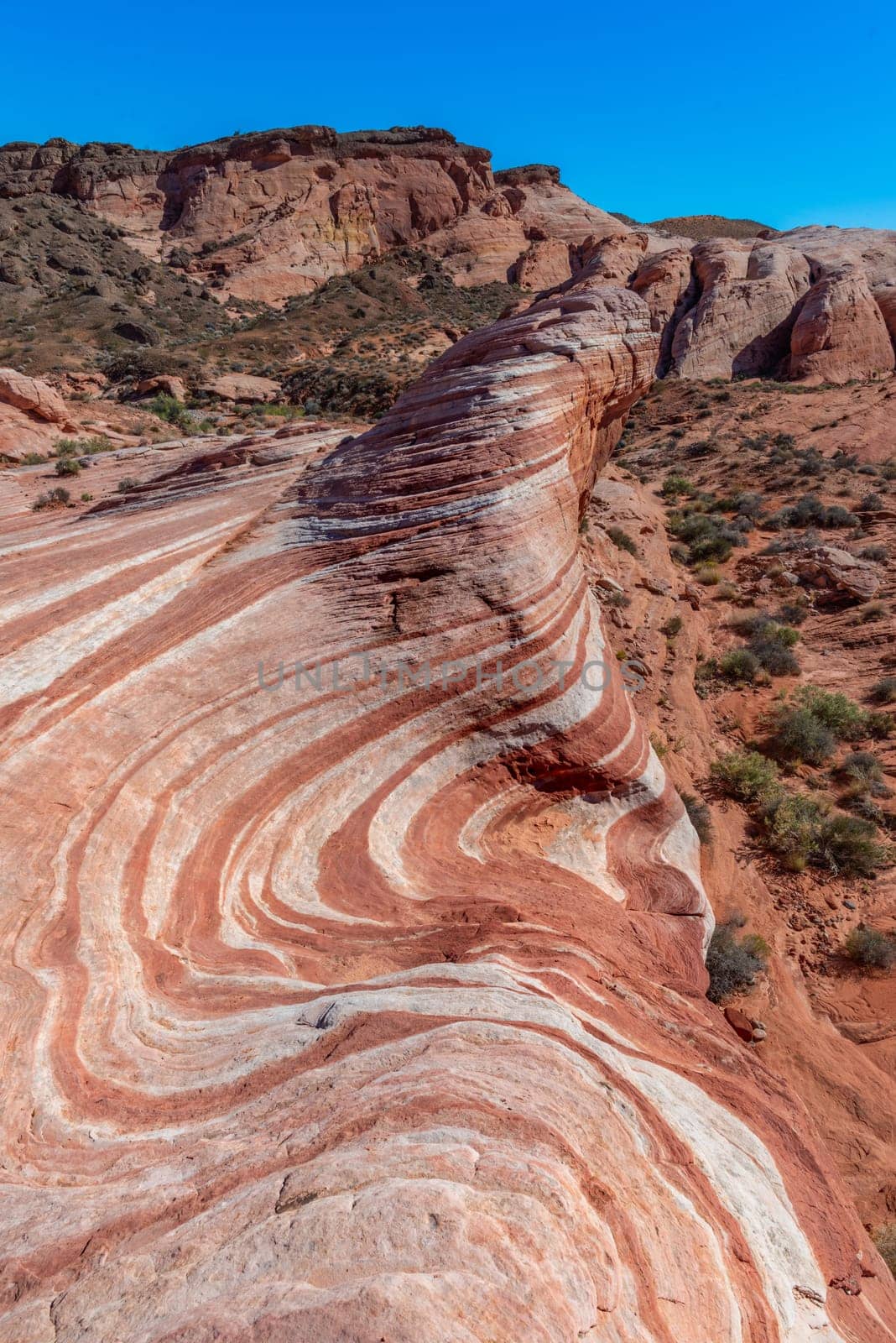 Fire Wave in Valley of Fire State Park, Nevada