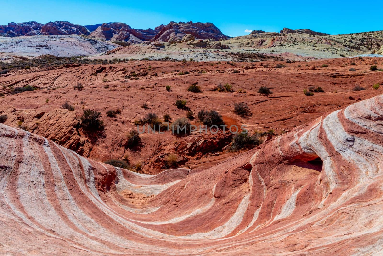 Fire Wave in Valley of Fire State Park, Nevada