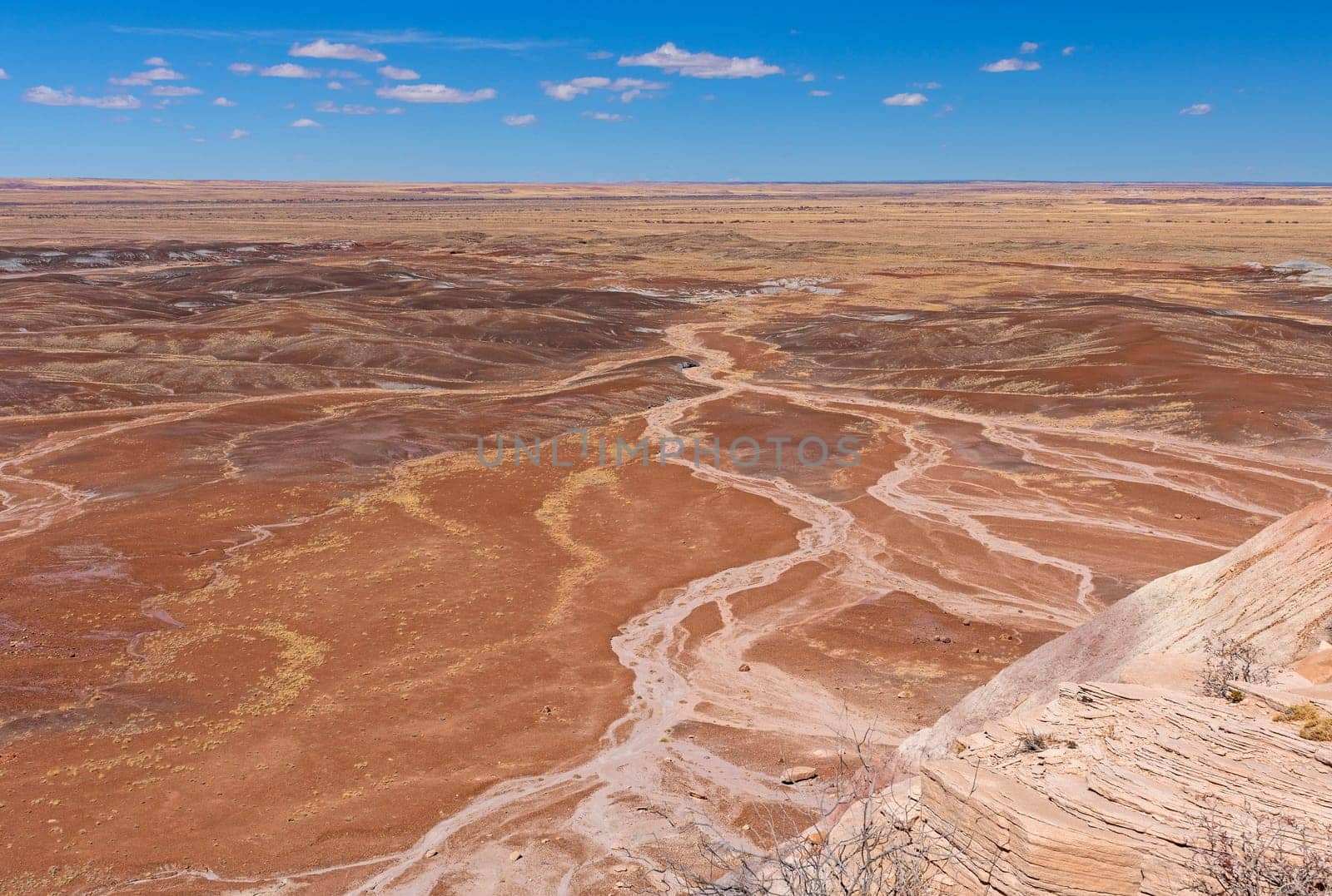 Colorful Outwash Plain in the Badlands in Petrified Forest National Park in Arizona