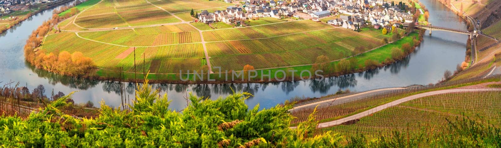 Panoramic view of the Moselle, here forms the narrow Moselle loop around the town of Trittenheim.