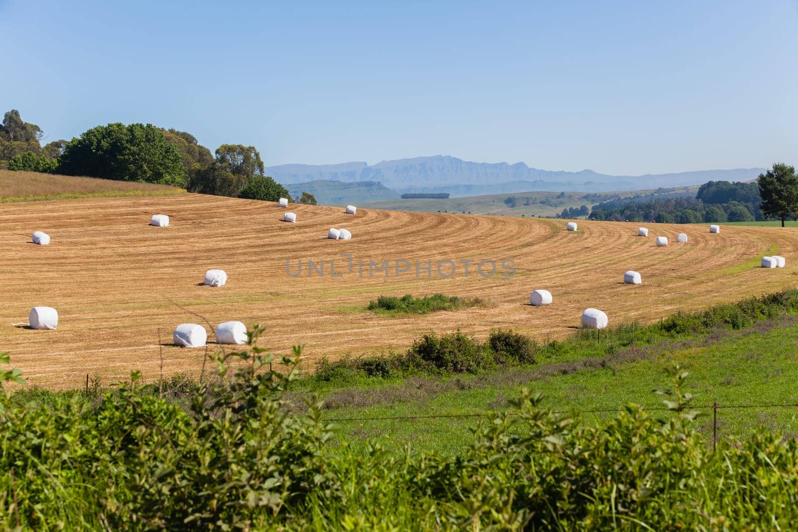 Farming cattle feed harvested grass hay bales wrapped in plastic over fields on scenic mountain landscape